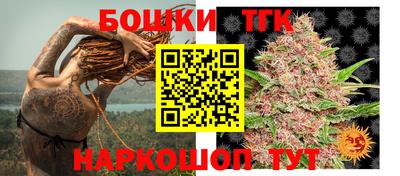 бошки Будённовск