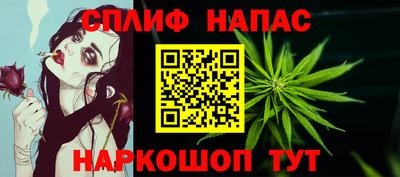 бошки Будённовск