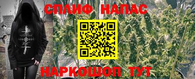стаф Бузулук