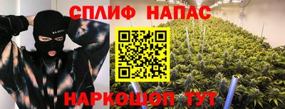 бошки Будённовск