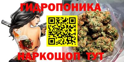 стаф Бузулук