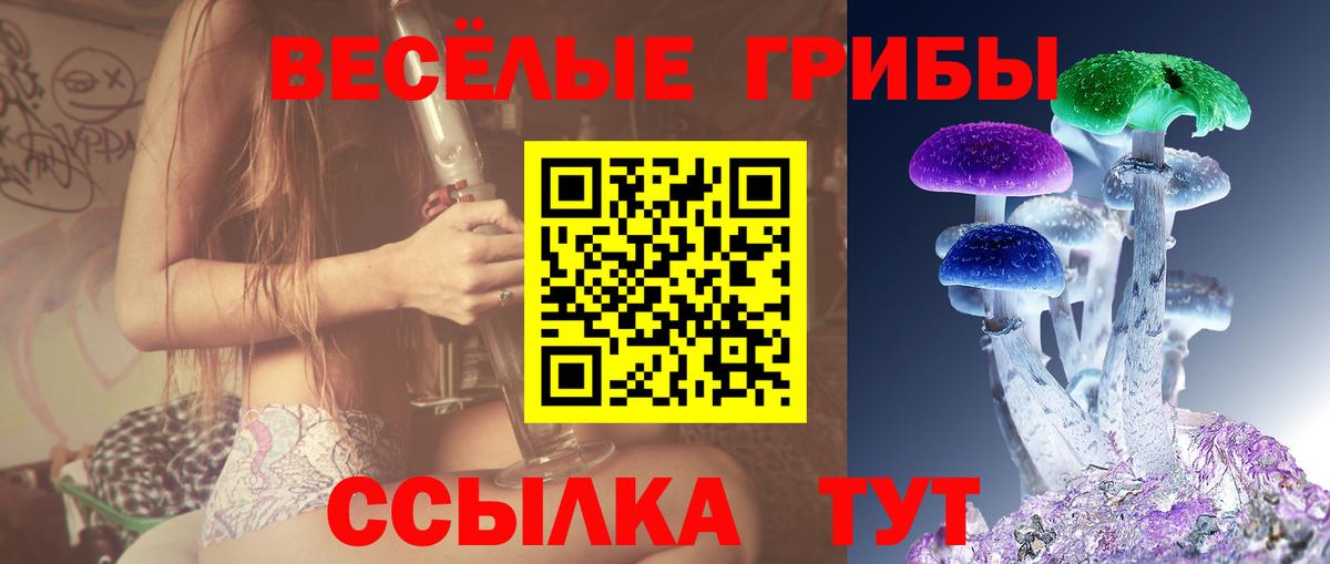 Галлюциногенные грибы Cubensis  Галлюциногенные грибы мицелий  Нефтекумск  Вход с VPN 