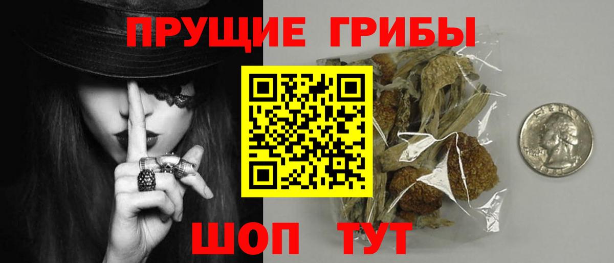 Псилоцибиновые грибы ЛСД Нефтекумск