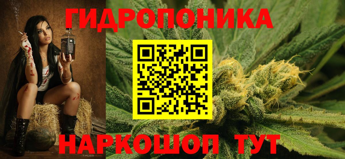 Бошки Шишки сатива Нефтекумск